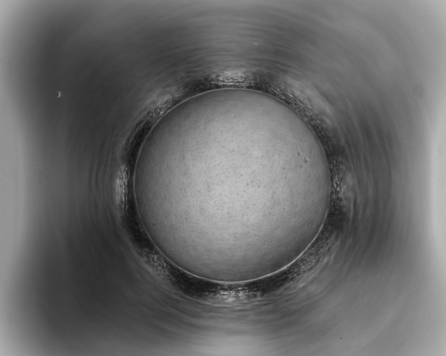 X0000094070744200710261246
