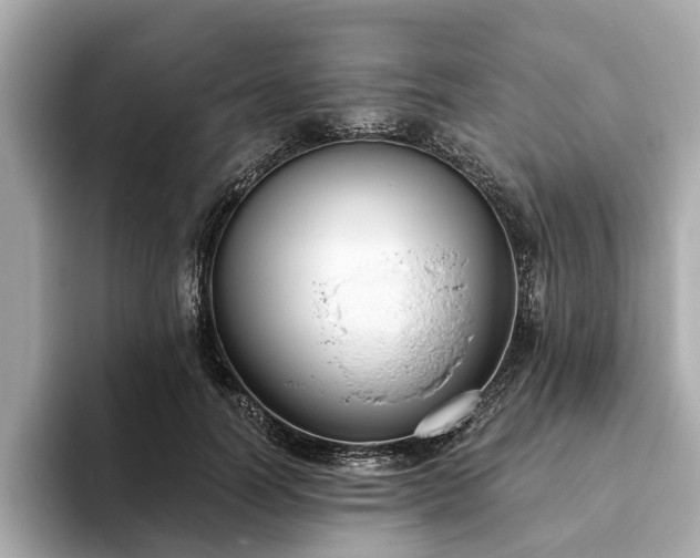X0000094070746200710261246
