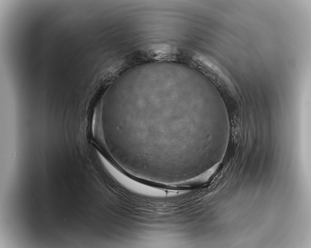 X0000094070748200710261246