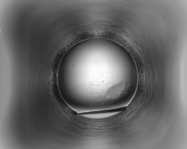 X0000094070750200710261246