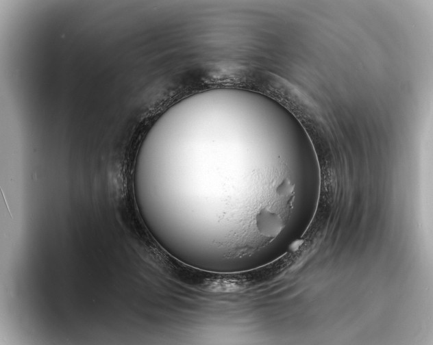 X0000094070751200710261246