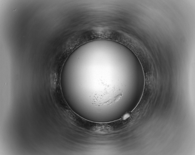 X0000094070752200710261246