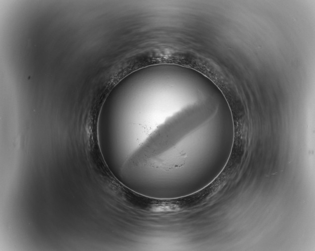 X0000094070754200710261246