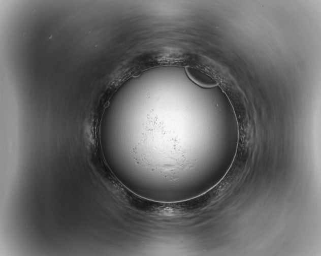 X0000094070755200710261246
