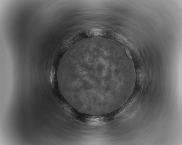 X0000094070760200710261246