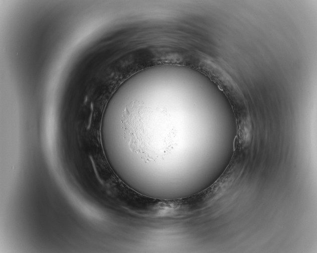X0000094070764200710261246