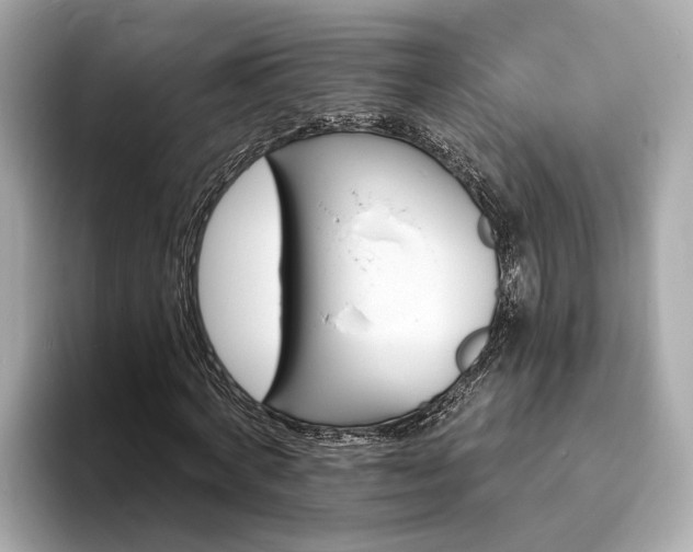 X0000094070772200710261246