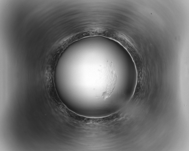 X0000094070773200710261246
