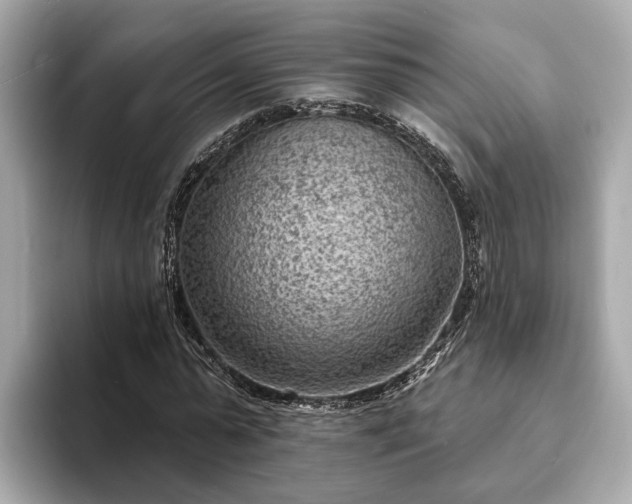 X0000094070775200710261246