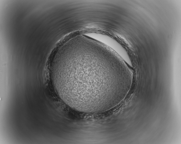 X0000094070776200710261246