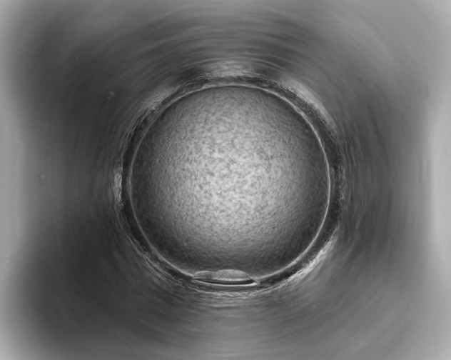X0000094070777200710261246