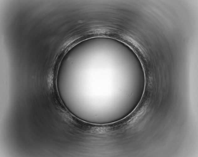 X0000094070778200710261246