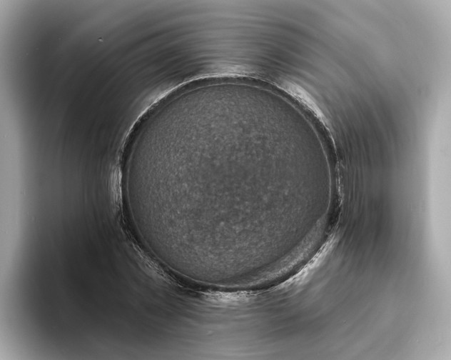 X0000094070781200710261246