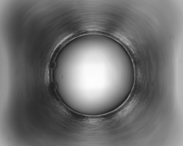 X0000094070782200710261246