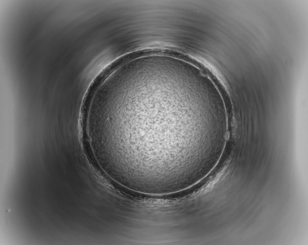 X0000094070783200710261245