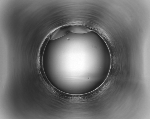 X0000094070784200710261245