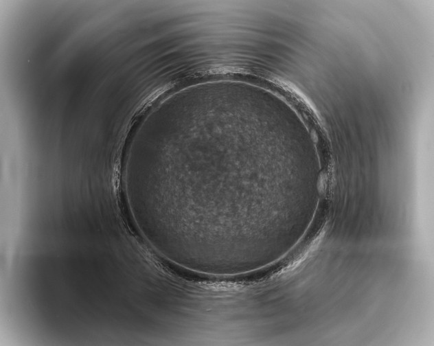 X0000094070785200710261245