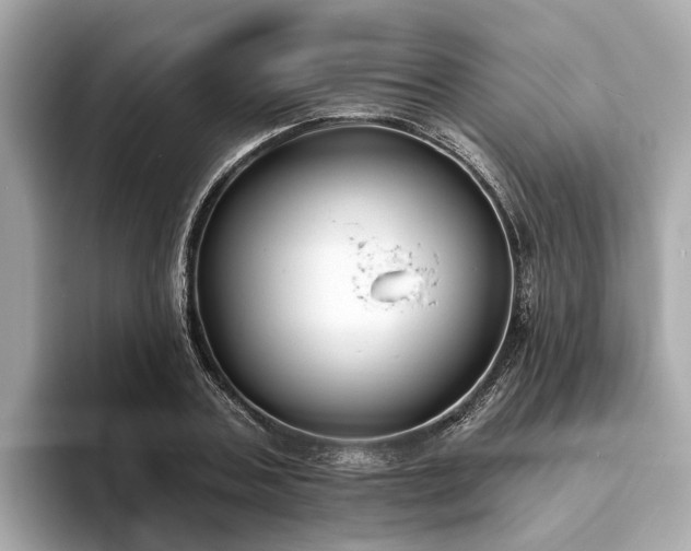 X0000094070787200710261245