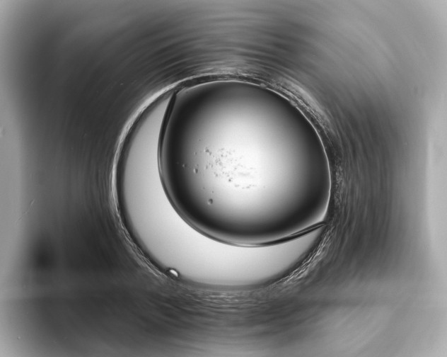 X0000094070788200710261245