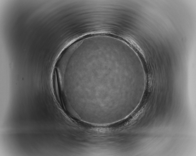 X0000094070789200710261245