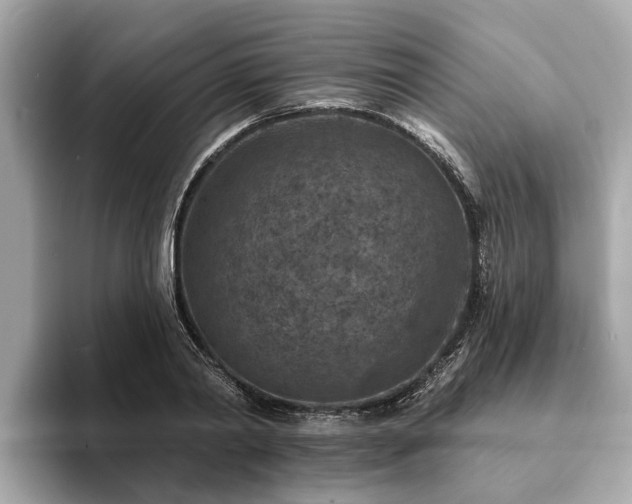 X0000094070790200710261245