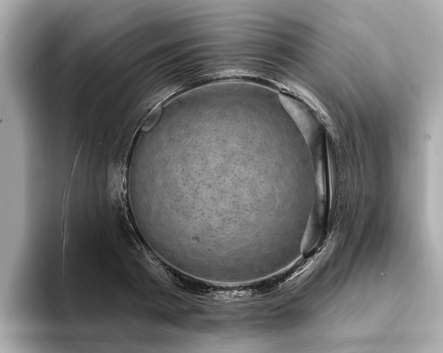 X0000094070793200710261245