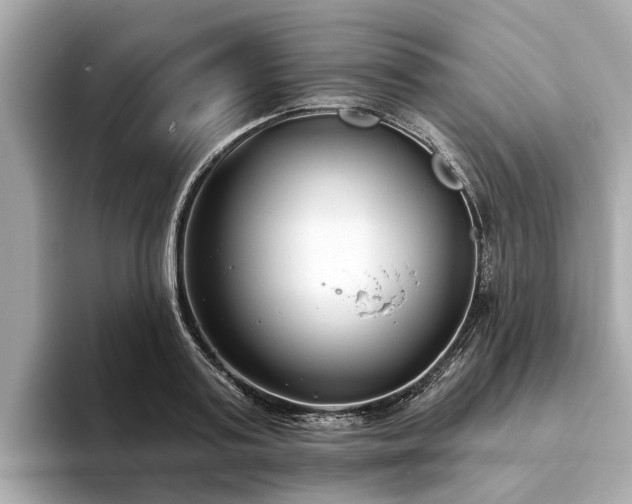 X0000094070795200710261245