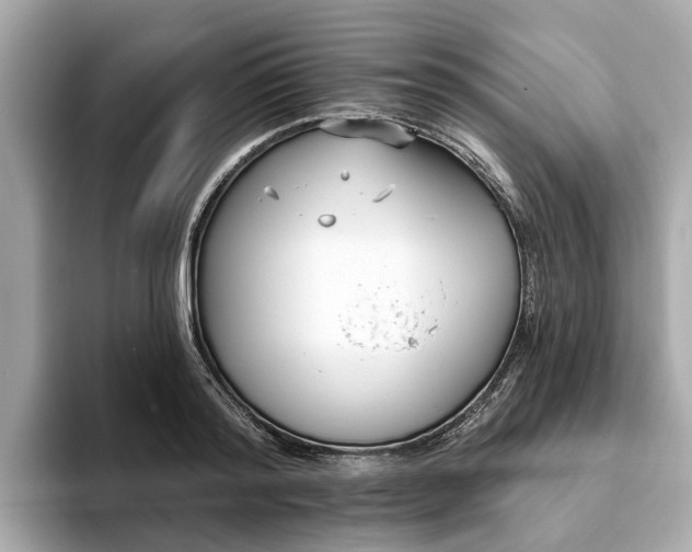 X0000094070796200710261245
