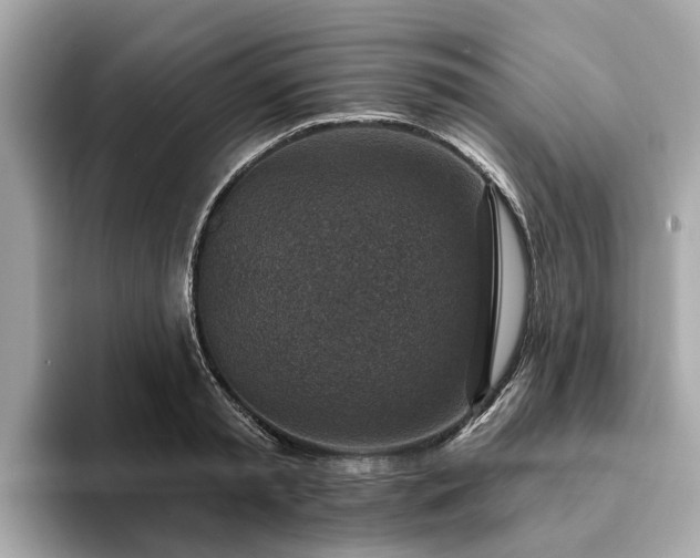 X0000094070797200710261245
