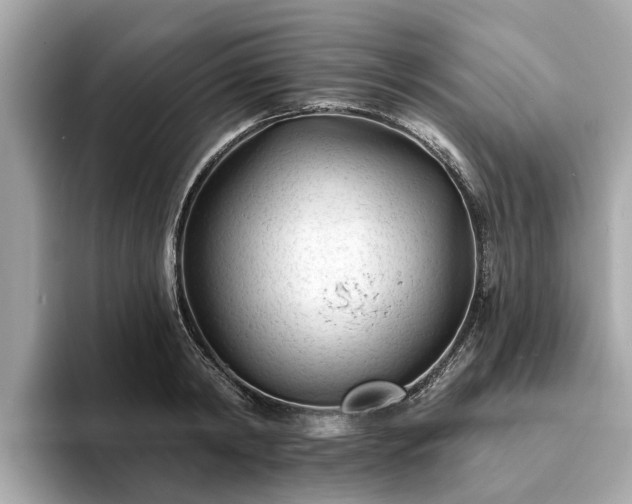 X0000094070798200710261245