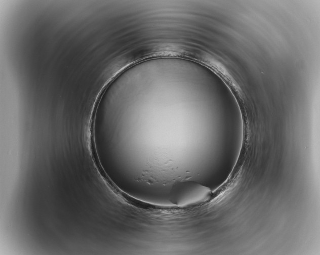 X0000094070802200710261245