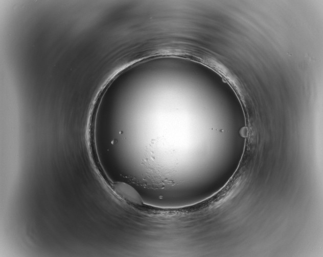 X0000094070803200710261245
