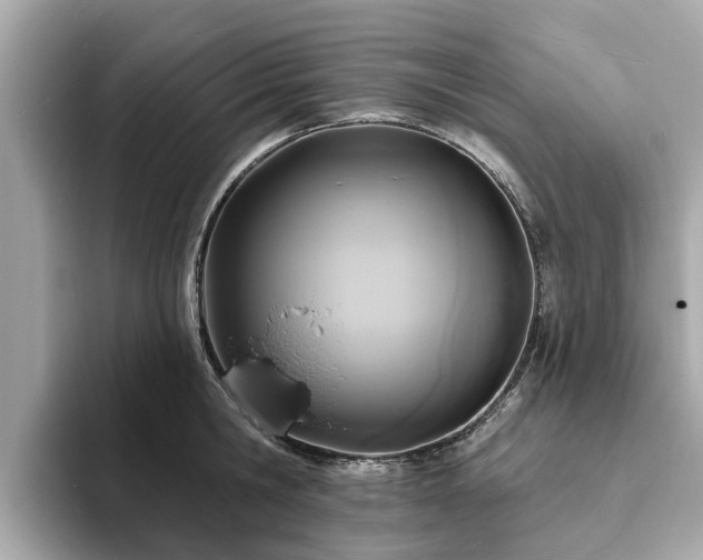 X0000094070806200710261245