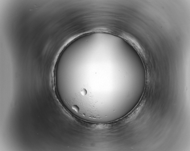 X0000094070808200710261245