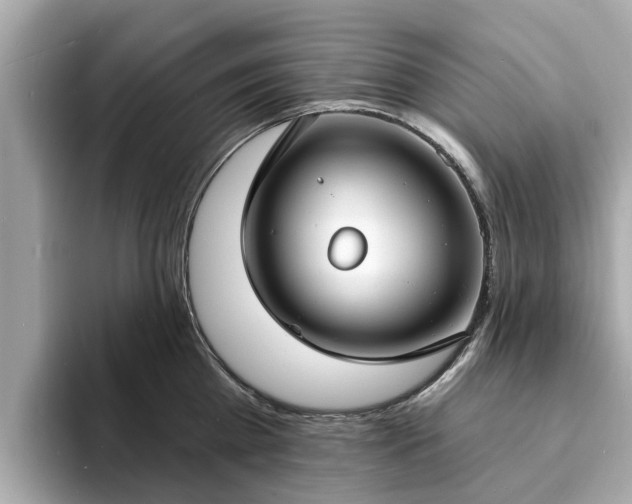 X0000094070809200710261245