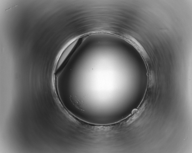 X0000094070812200710261245