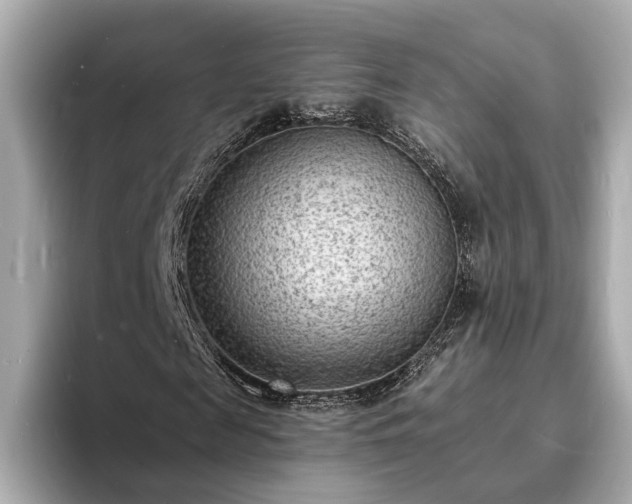 X0000094070817200710261244