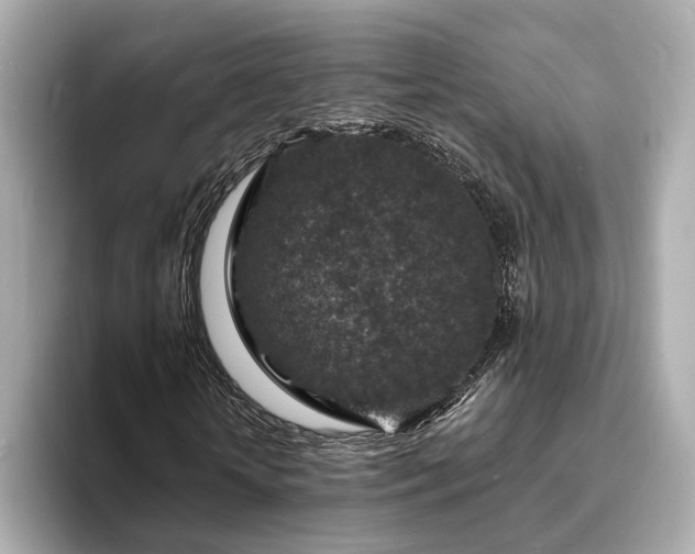 X0000094070818200710261244