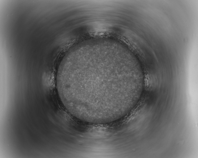 X0000094070820200710261244