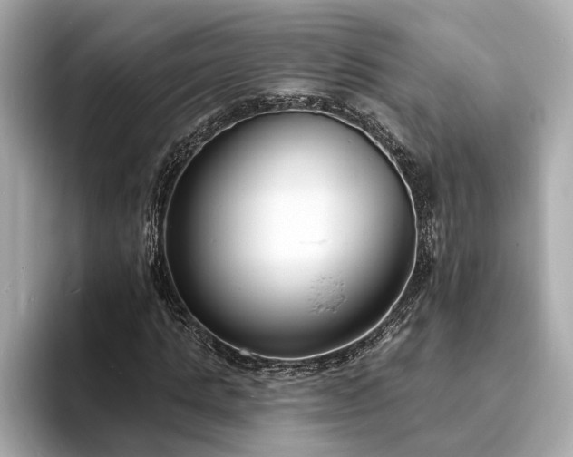X0000094070821200710261244