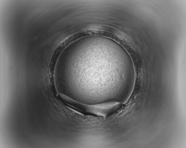 X0000094070822200710261244