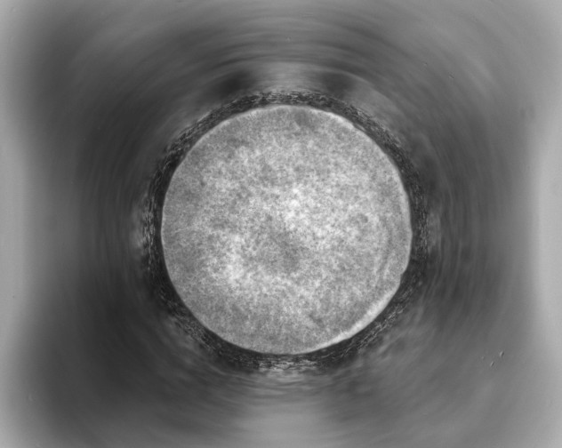 X0000094070824200710261245
