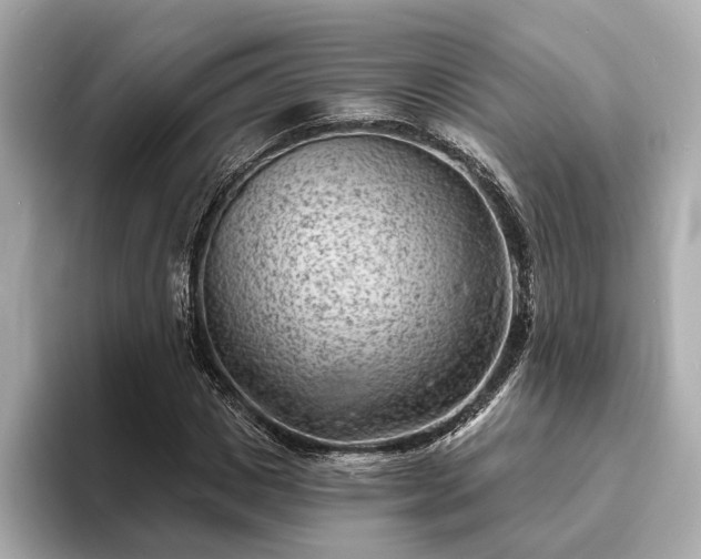 X0000094070825200710261245