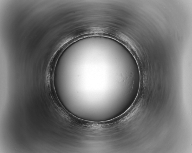 X0000094070827200710261245
