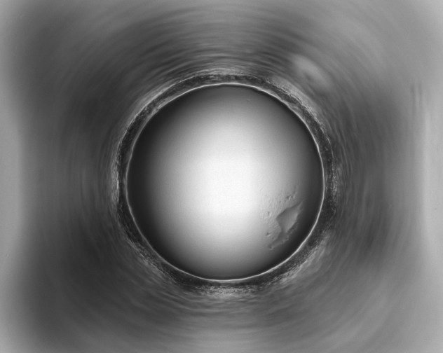 X0000094070829200710261245