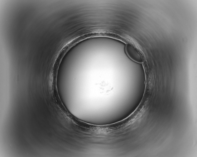 X0000094070831200710261245