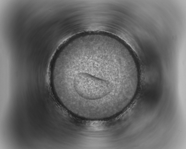 X0000094070832200710261245