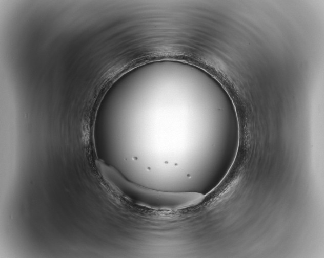 X0000094070833200710261245