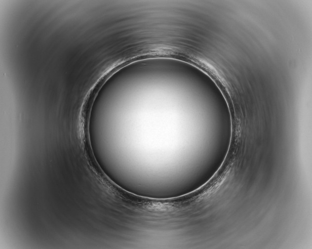 X0000094070835200710261245