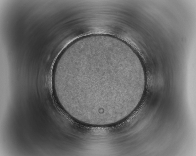X0000094070836200710261245